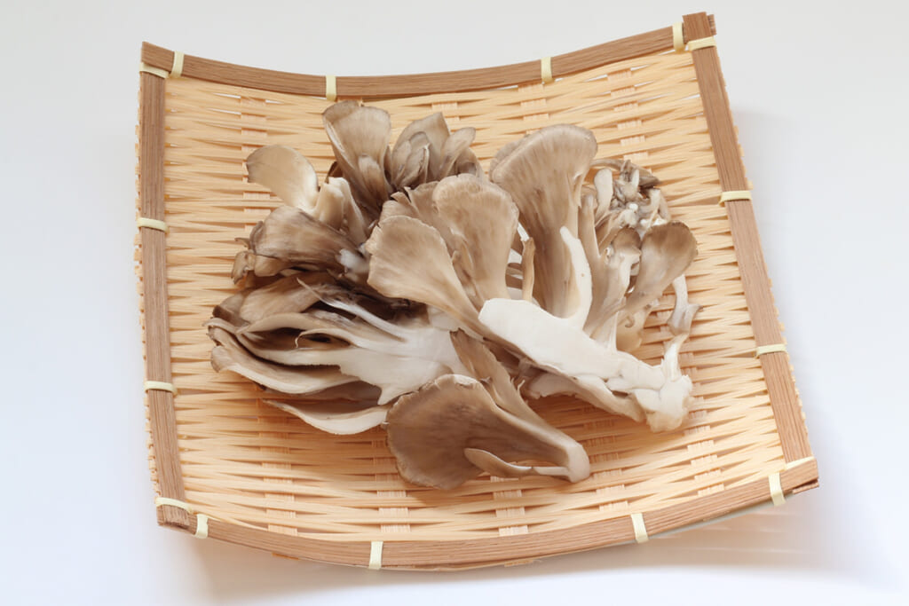 猛ウイルスにはビタミンDが効く！インフルエンザ撃退するマイタケレシピ