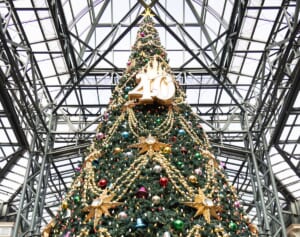 40周年特別仕様のディズニー・クリスマスをディズニー大好き芸人が解説