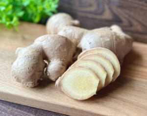 つらい関節痛に「発酵しょうが」有効成分ジンゲロールがポイント