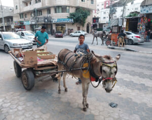【後編】ガザ爆撃で病院に搬送された子供が自分の子で…帰国の日本人看護師が見た惨状