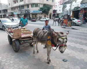 【後編】ガザ爆撃で病院に搬送された子供が自分の子で…帰国の日本人看護師が見た惨状