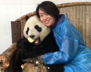 「シャンシャンは素敵なお母さんになる」日本パンダ保護協会が太鼓判。ファンも一安心