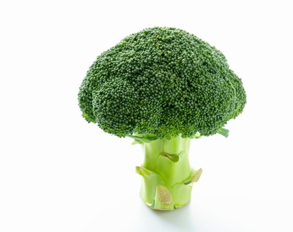 “国民的野菜”になるブロッコリー 「筋トレだけではなく、寝たきりの防止にも期待」と栄養士指南