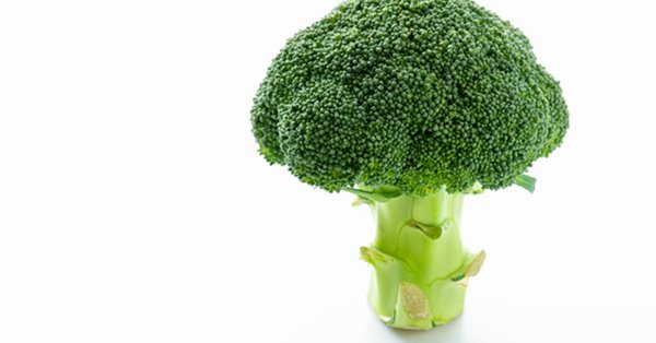 国民的野菜”になるブロッコリー 「筋トレだけではなく、寝たきりの防止