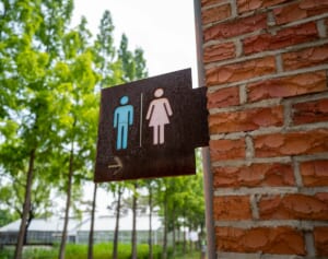 公衆トイレで13歳の少女を集団レイプした犯人にイタリア副首相が去勢を要求