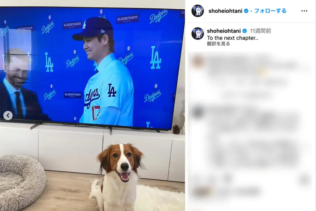 大谷翔平　愛犬「デコピン」と有力候補アスリート妻にあった「まさかの共通点」