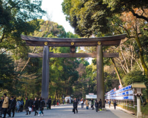 水晶玉子さんが注目するパワスポ5選　2024年は「植物」と「龍」がカギ