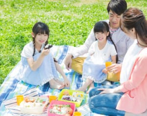 プチトマトのヘタはとったほうがいい？お弁当を腐らせないための極意を栄養士が解説