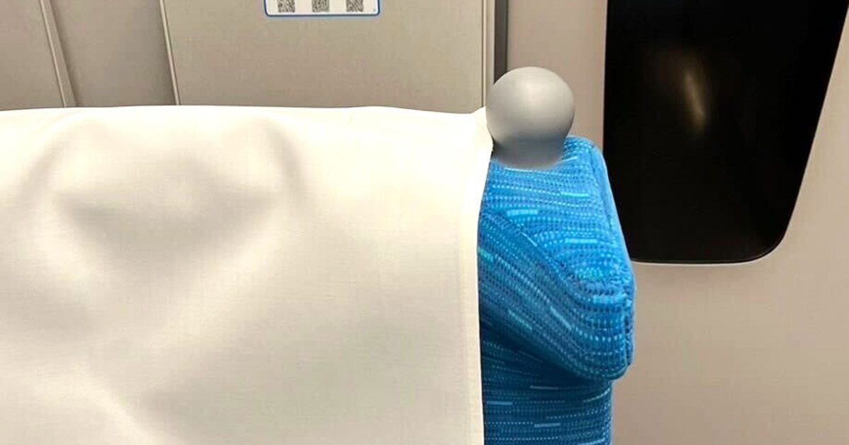新幹線の座席にある“灰色の突起物”何のためのもの？SNSで話題に JR東海 