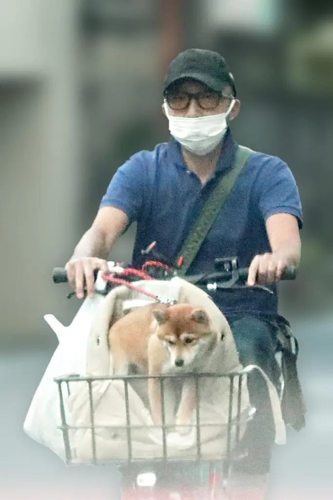 「テレビに復帰してほしくない」“不祥事”芸能人ランキング…3位宮迫、2位猿之助を抑えた圧倒的1位の女性タレントは？