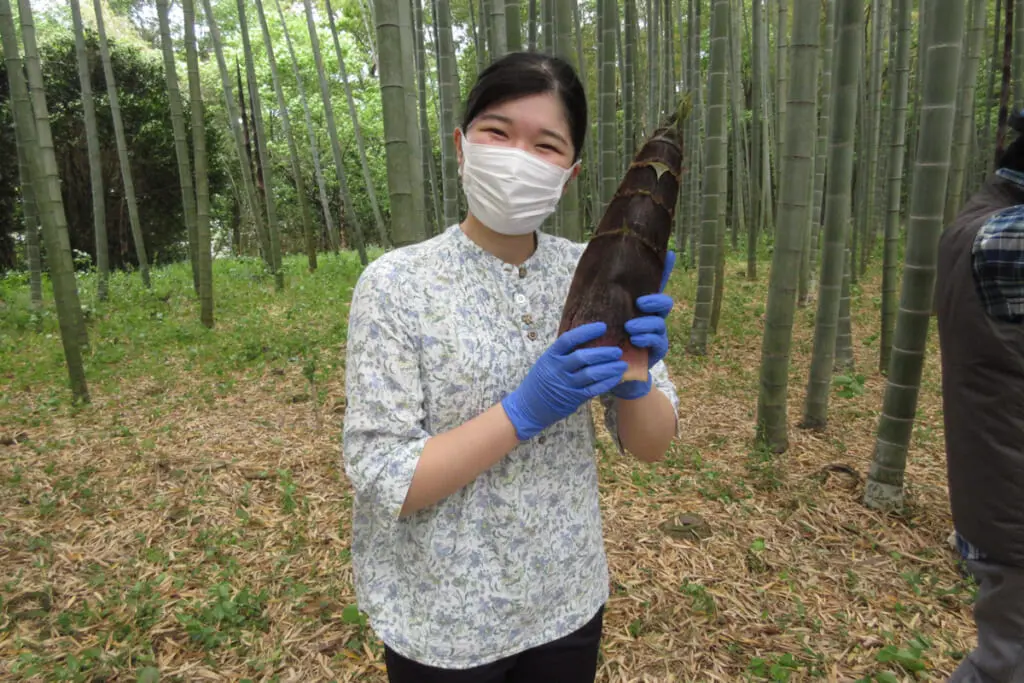 愛子さま 多くの祭祀にご参列、休日予定日にもご出社…“ご公務少ない