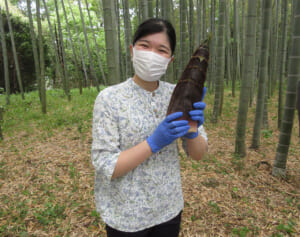 「ギャップにやられました」愛子さま　長靴姿でシャベルを手に…貴重な「タケノコ掘りショット」にネット感嘆