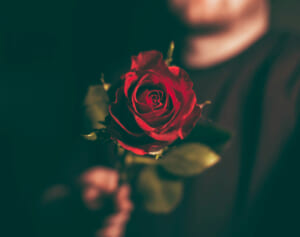 『バチェロレッテ』で結婚したカップルが泥沼離婚へ