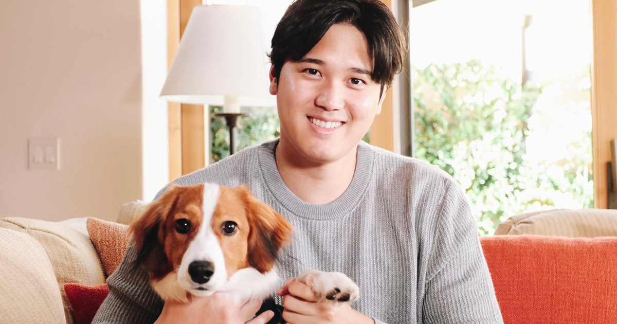 大谷翔平 12億円新居の住環境にあった治安だけじゃない「もう一つの