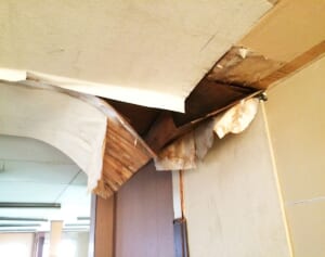 ゲリラ豪雨で気をつけたい「ベランダの劣化」床がフカフカは腐敗のサイン！