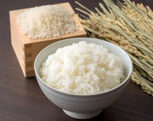 高騰する「白米」得な買い方ランキング！スーパーよりも年1万円安く買える“意外な店”は？
