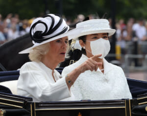 雅子さま　訪英パレードでマスクご着用への「馬アレルギーは大嘘」批判が“的はずれな”理由