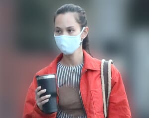 「下品」「変な使い方しないで」水原希子　元“国民的美少女”との大胆ペア水着に心ない声