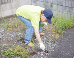 特効薬がなく、10日で死亡する例も…「ダニ媒介感染症」の危険性と対策