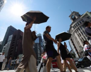 掛け金1日80円から！9月も危険な「熱中症」による通院＆入院に備える保険