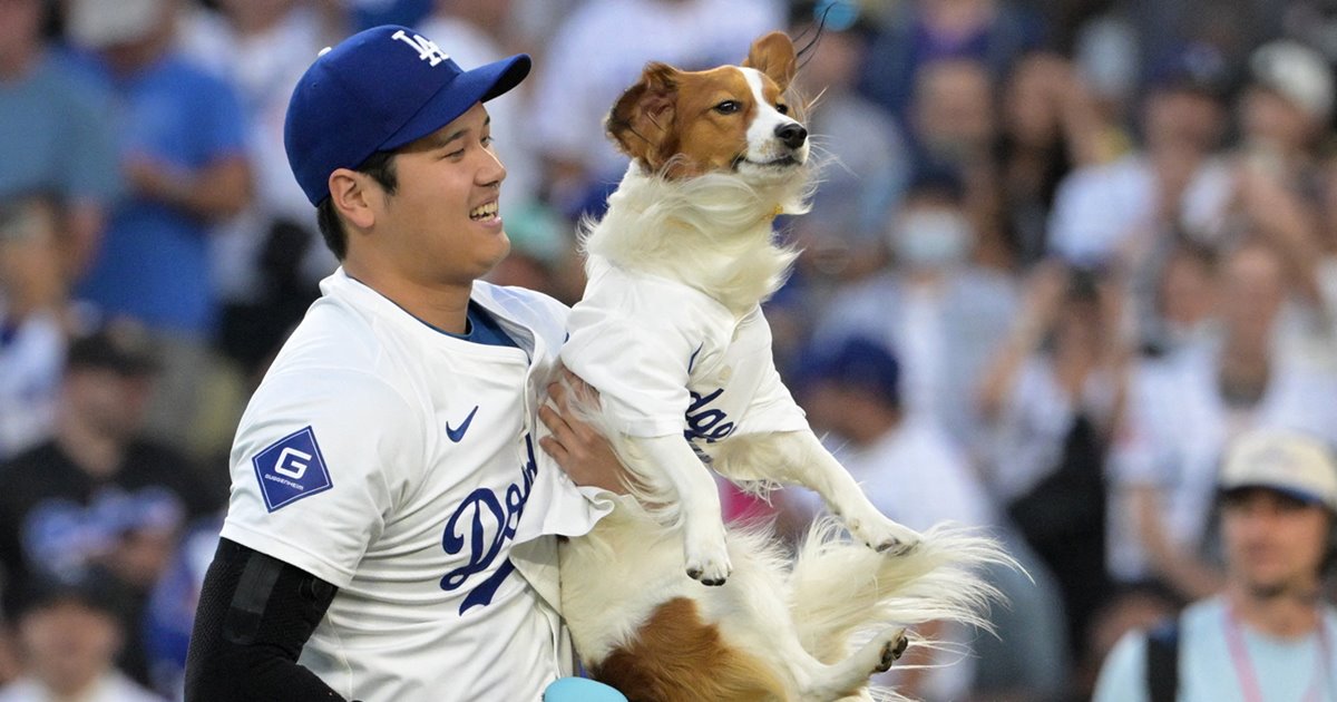 大谷翔平 デコピンとの始球式成功に導いた真美子夫人の「極秘ケア