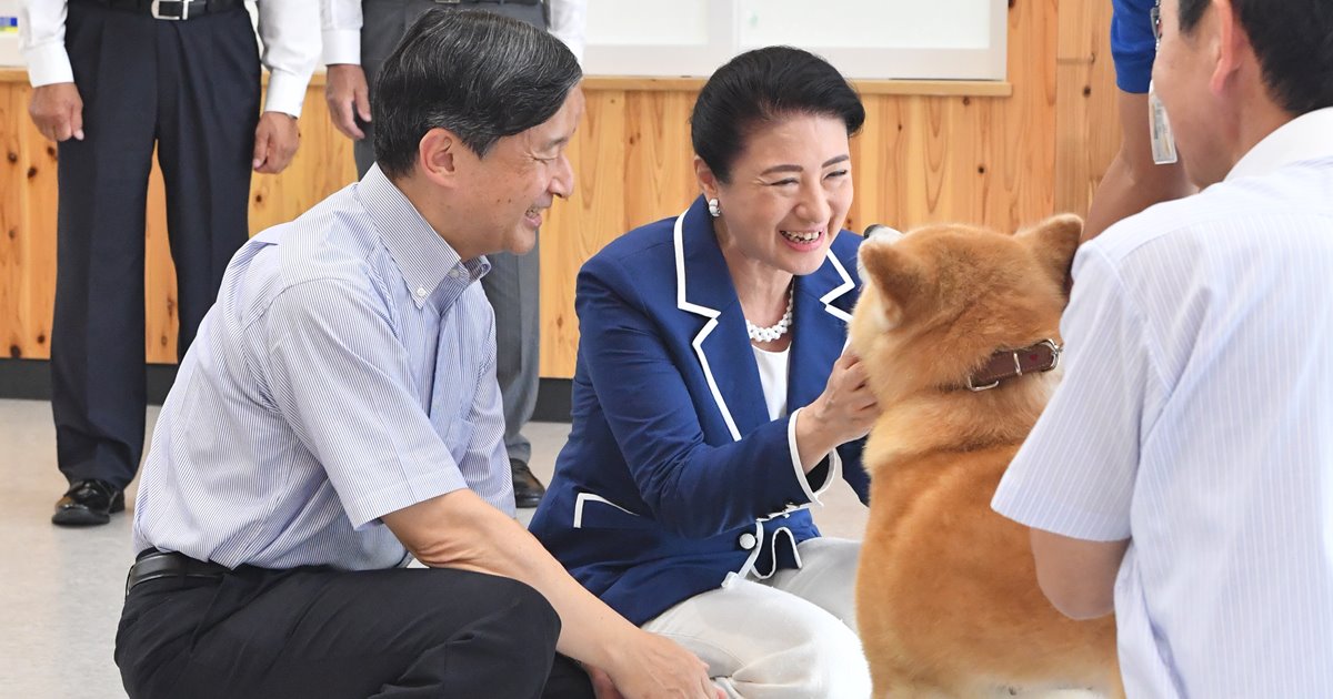 笑顔で撫でられる雅子さま、恐る恐る近づく悠仁さま…