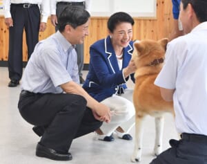 笑顔で撫でられる雅子さま、恐る恐る近づく悠仁さま…「皇室と犬」アルバム