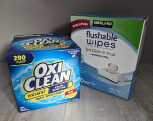 コストコで買うべき“介護グッズ”5選　トイレに流せるお尻拭き、消臭ポリ袋は1枚5円でコスパ抜群！