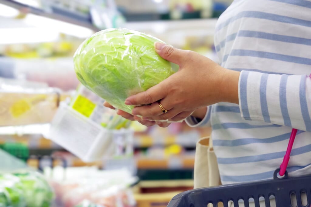1玉660円！「高騰キャベツ」の代用に使える「家計救済食材」8選