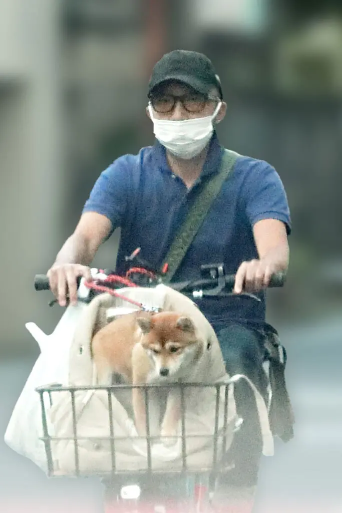 市川猿之助 俳優復帰は既定路線か 2025年版『かぶき手帖』につづられ