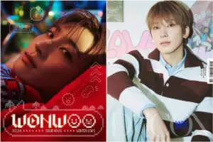 大ヒット販売中！】SEVENTEENウォヌ＆ミンギュの神写真集「DICON