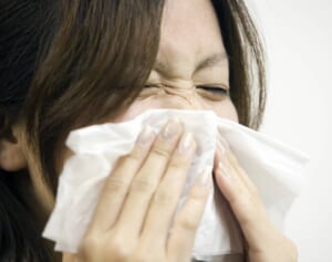 花粉症の鼻詰まり「玉ねぎの匂いと嗅ぐ」とスッキリ!? 仕組みを医師が解説