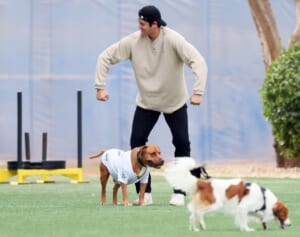 大谷翔平　デコピン起点で広がる「ドジャース愛犬家」の輪！かつての“宿敵”からもしつけ方を質問攻め