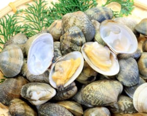 亜鉛で花粉症の症状改善の可能性…日々の食材での“ベストな取り入れ方”を解説