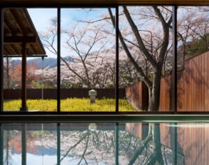 【2025年最新版】全国インドアお花見8選で、天候も花粉も気にならない！