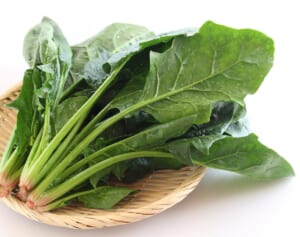 目の病気を防ぐ「食品」ランキング！ダントツおすすめの葉物野菜とは？