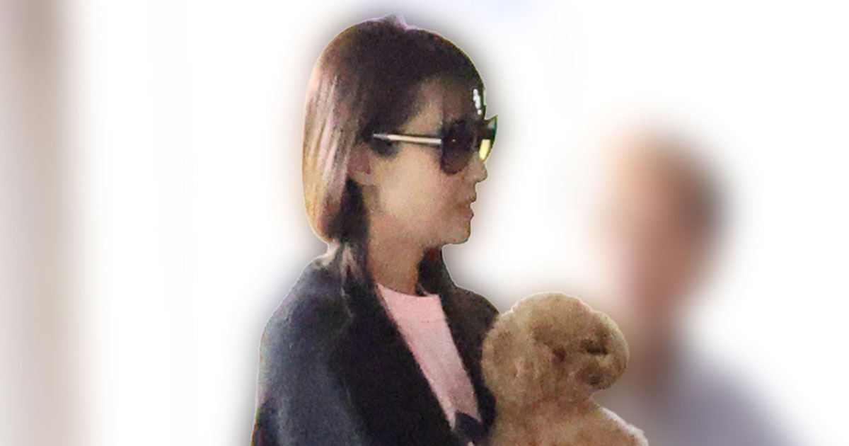 ゆっくり休んで」深田恭子 イベントでの“ほっそり姿”にファンから心配