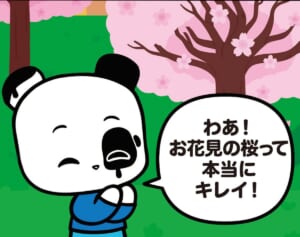 【フランスのパンダ ガドゥ】Épisode 33『お花見』