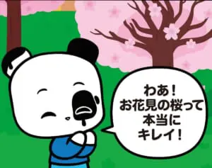 【フランスのパンダ ガドゥ】Épisode 33『お花見』