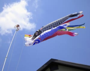 マンションでは飾りづらく…姿を消す「こいのぼり」文化　職人が危惧する“伝統技術の途絶”