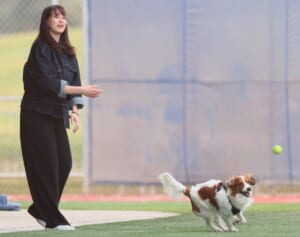 真美子さん　大谷翔平多忙で“孤独な臨月”を助ける「3人の先輩」