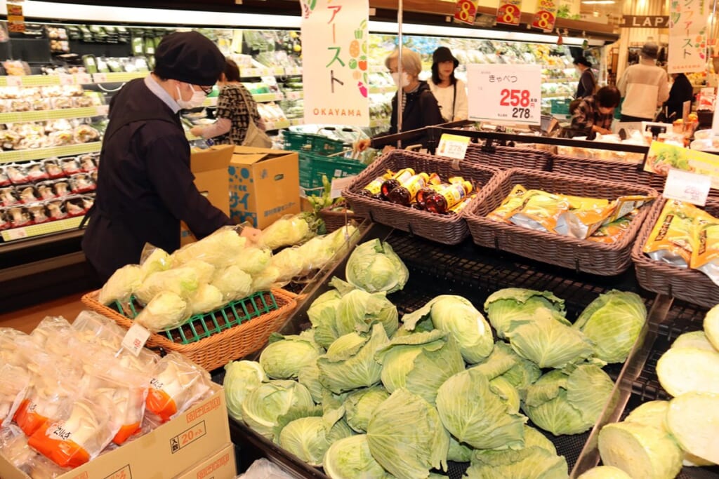 大根1.7倍、ねぎ1.6倍…止まらぬ野菜の高騰！4月の「お買い得」野菜はどれ？
