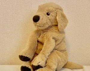 Aぇ! group正門良規が憧れる「木村拓哉の“ラーメン屋台”差し入れ」