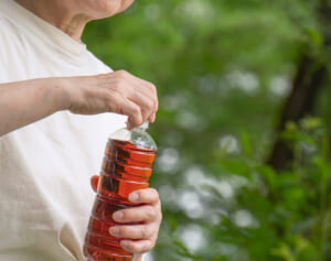 麦茶、緑茶、紅茶のうち一番傷みやすいのは？猛暑で気をつけたい「ペットボトルの管理術」