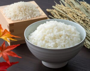 好きな米の品種ランキング！3位「ゆめぴりか」、2位「あきたこまち」を抑えた1位は？