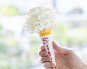 ご当地グルメや大自然が楽しめる！夏のお出かけにぴったりな「道の駅」11選【東日本編】