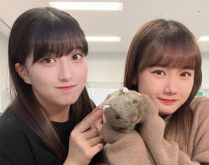 「戻ってくるの無理」モー娘。怒涛の卒業ラッシュ…カムバックに厳しい視線が注がれる“不祥事メンバー”