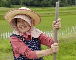 「国は長期的な食のビジョンを示して」“無借金経営”貫く母娘3人の米農家が明かす生産者の苦悩