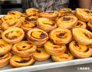 【大阪・関西万博】10回以上行った関西在住トラベルライターが激推しする「コスパ抜群グルメ」4選！