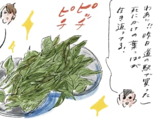 蘇生させたのに『まめ日和』第483回